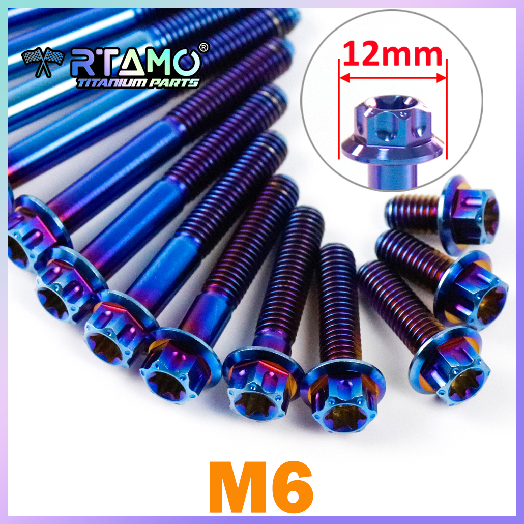 Barrel Bolt Slide - RTAMO Gr5 Titanium Bolts M6X10-130mm Torx